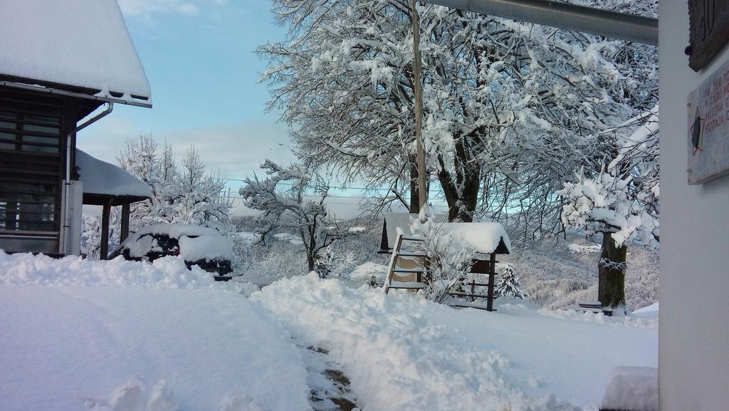 Tourist Farm Ljubica Vila Poljane nad Škofjo Loko Exterior foto