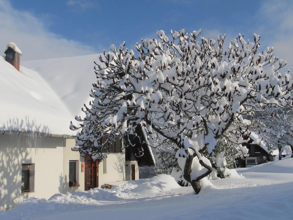 Tourist Farm Ljubica Vila Poljane nad Škofjo Loko Exterior foto