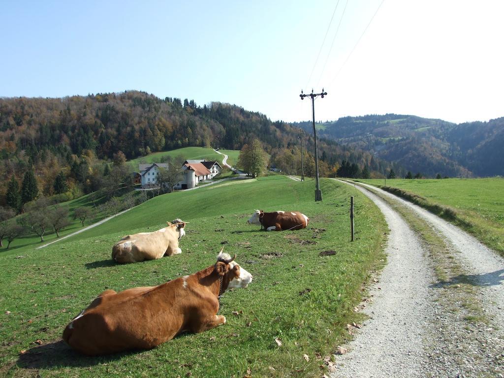 Tourist Farm Ljubica Vila Poljane nad Škofjo Loko Exterior foto
